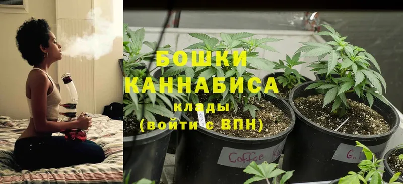 цена   Нахабино  Шишки марихуана SATIVA & INDICA 